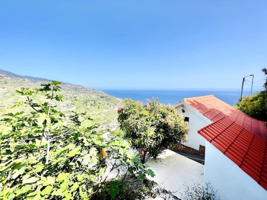 Mar A Vista By Your Madeira Rentals Понта-ду-Сол Экстерьер фото